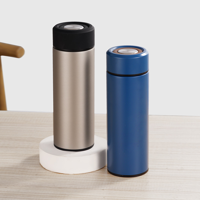 Stainless Steel Vacuum Thermal Water Bottle with Tea Strainer